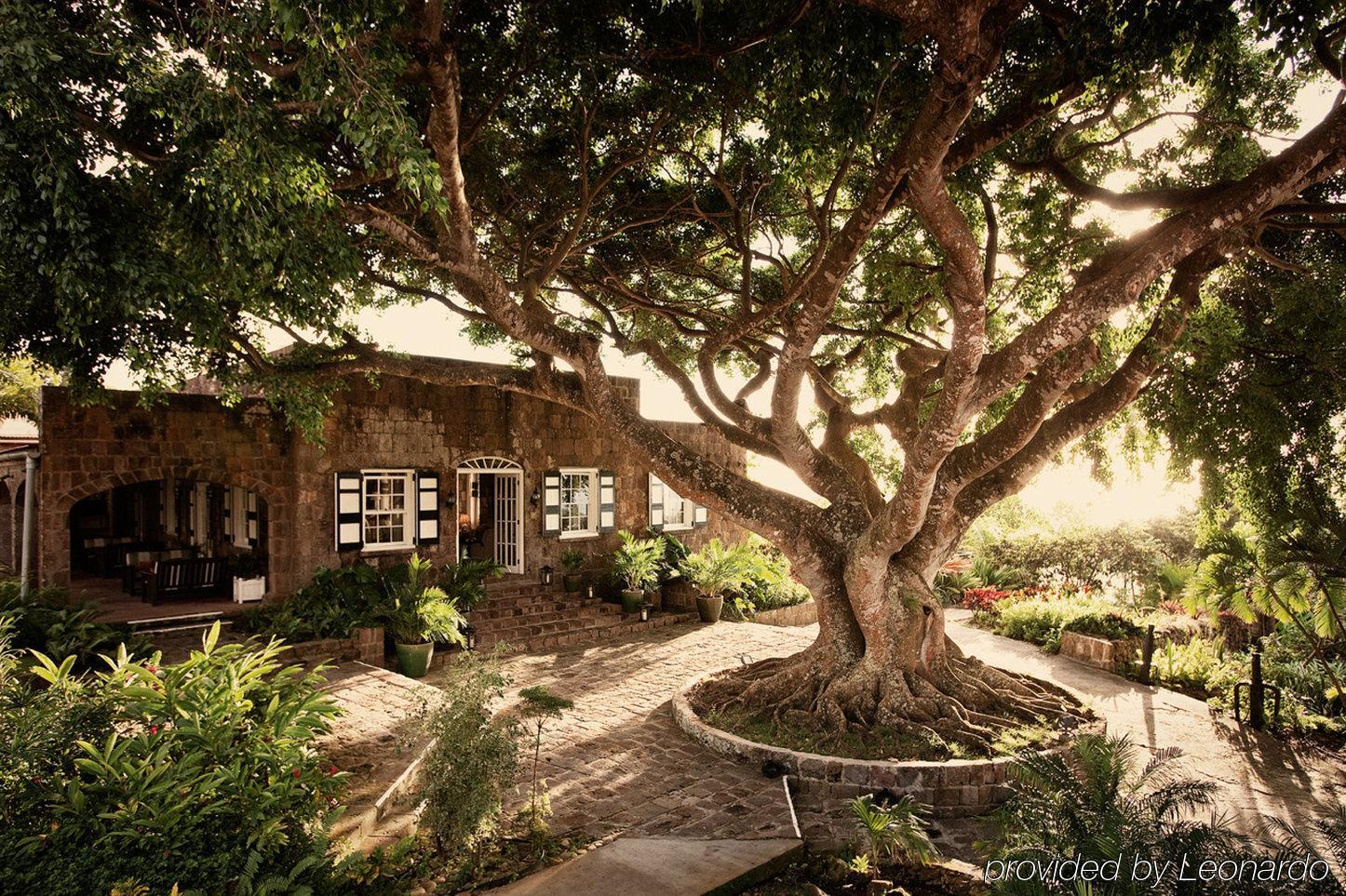 Montpelier Plantation & Beach チャールズタウン エクステリア 写真