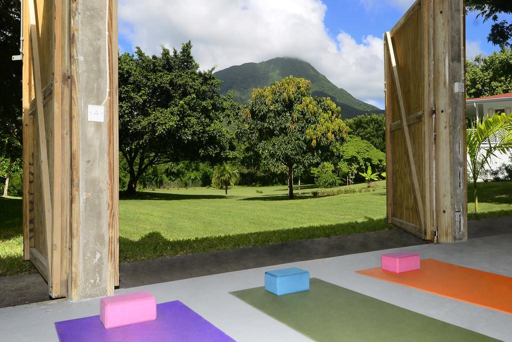 Montpelier Plantation & Beach チャールズタウン エクステリア 写真